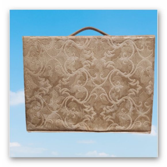 Vintage Viviane Woodard cosmetic carrying case large 12-in x9-in x 4-in clasp - Picture 3 of 15